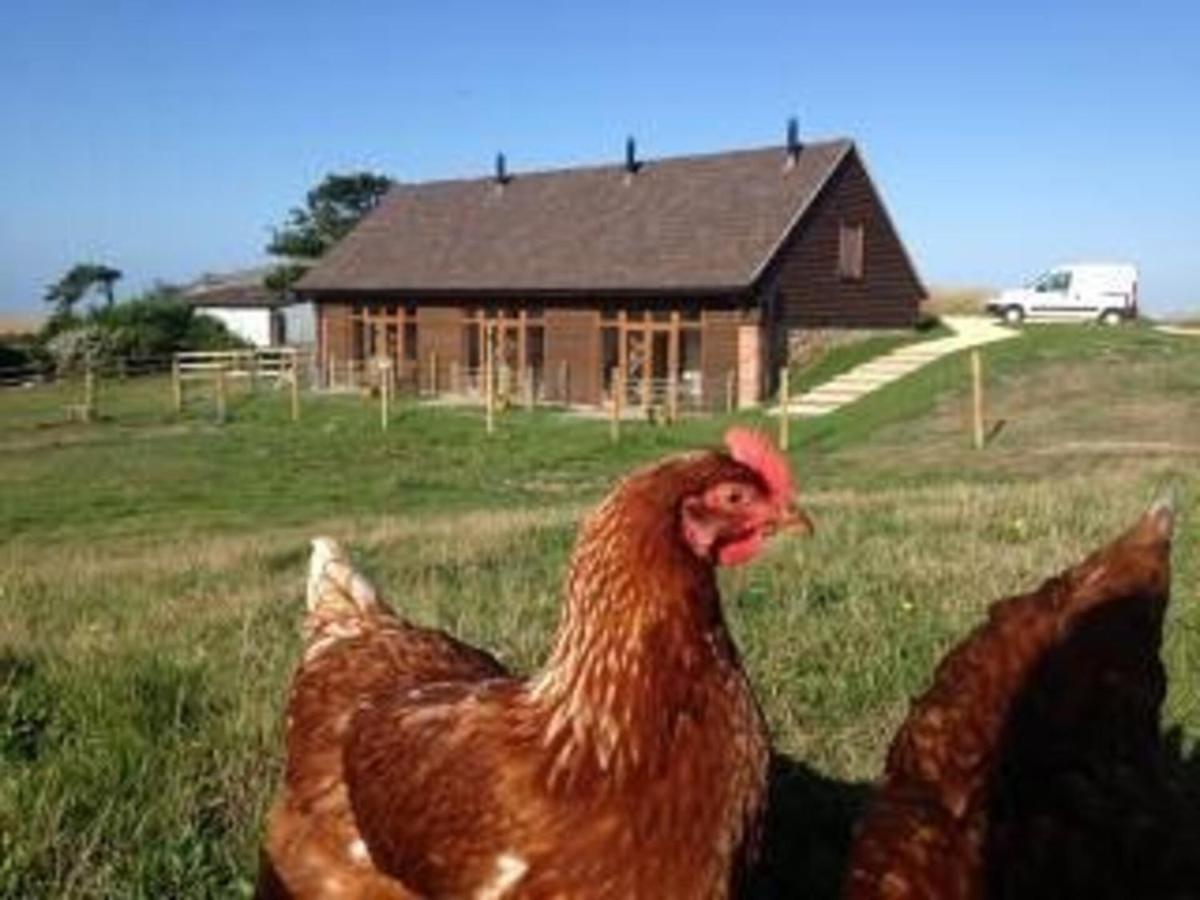 Poachers Hut - Captivating 1-Bed Cottage Shorwell Exterior photo