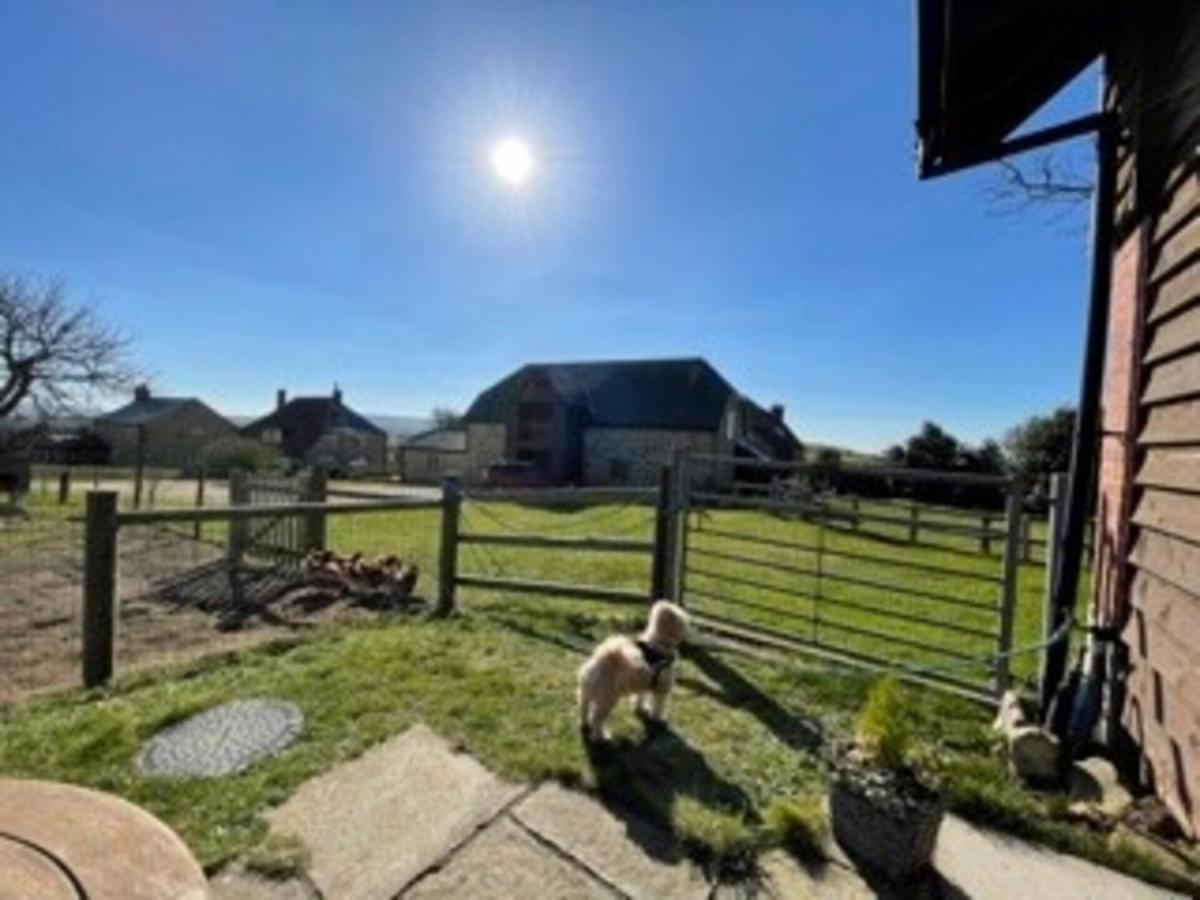 Poachers Hut - Captivating 1-Bed Cottage Shorwell Exterior photo